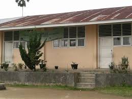 perpustakaan SD NEGERI 121243